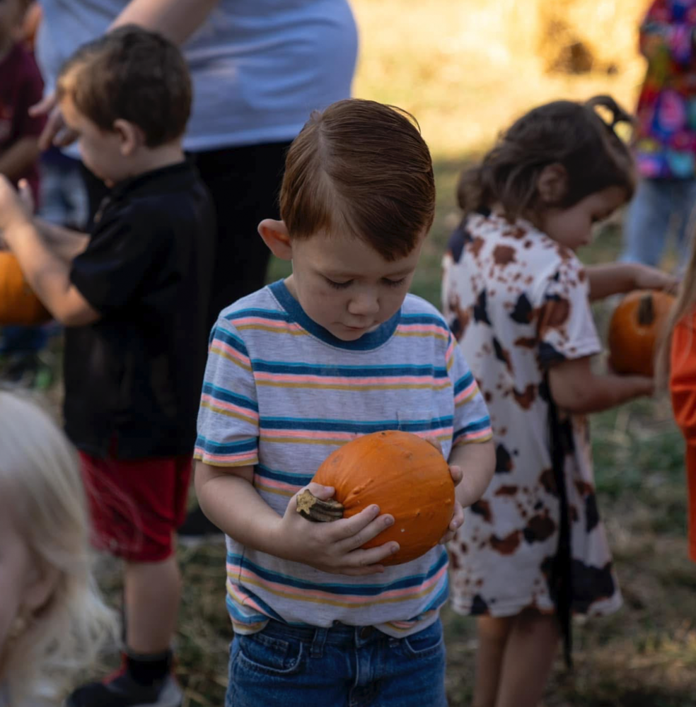 Pumpkins