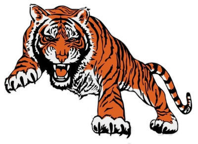 tiger