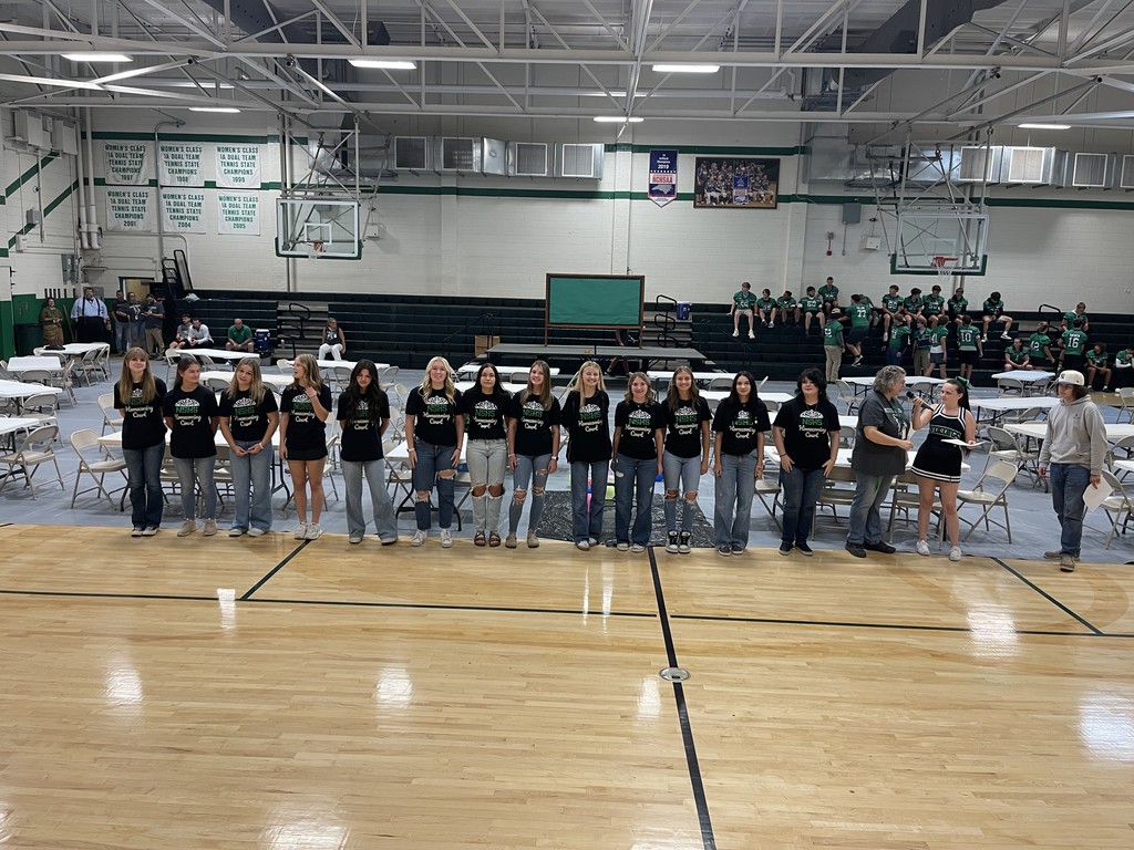 HOCO court