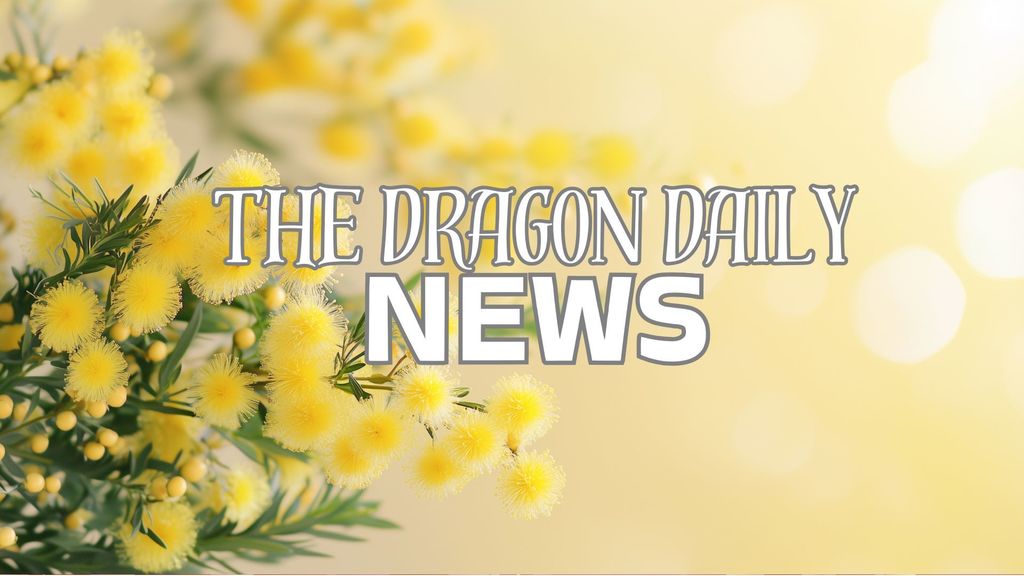 Dragon Daily News Logo