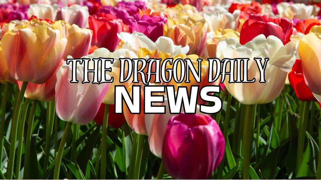 Dragon Daily News Logo