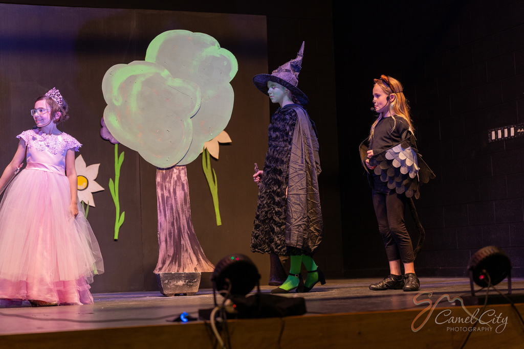 The Wicked Witch and one of her flying monkeys