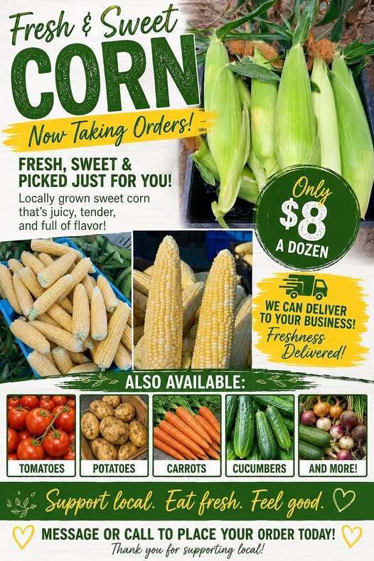 Fresh Veggies
