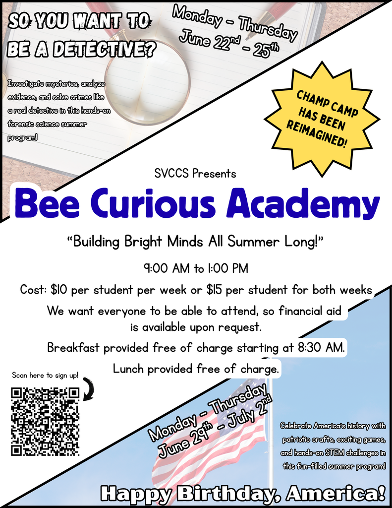 Bee Curious Flyer