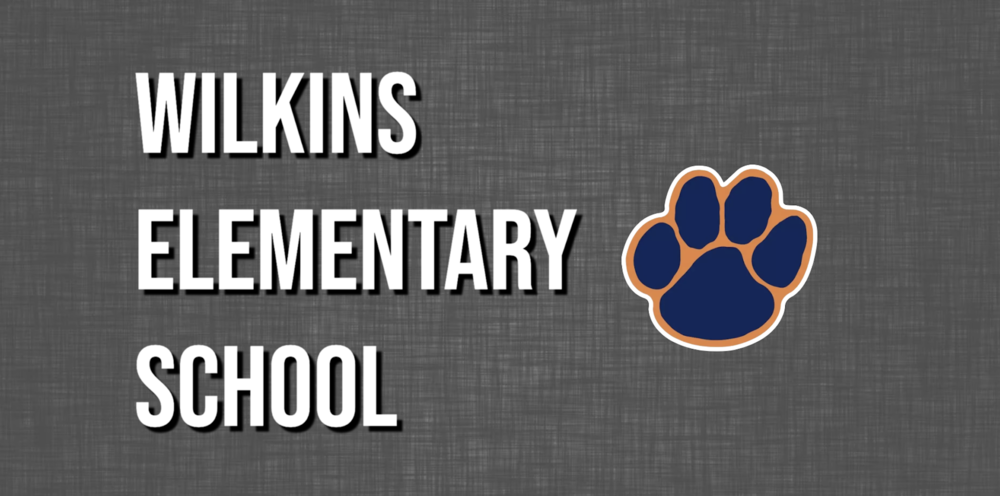 Wilkins Update