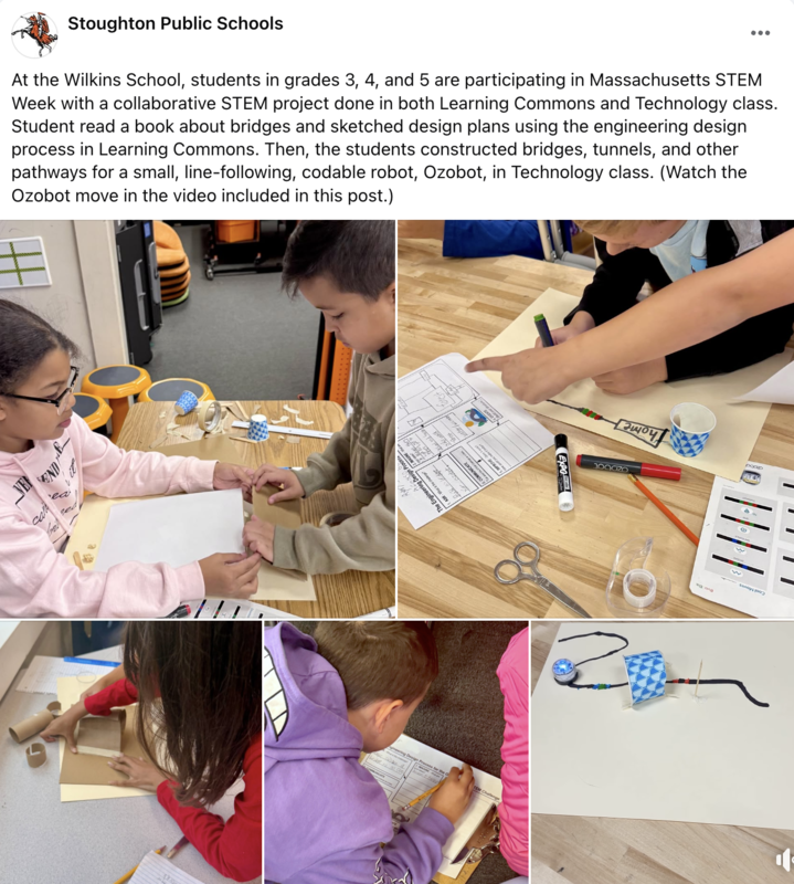 Wilkins STEM activity