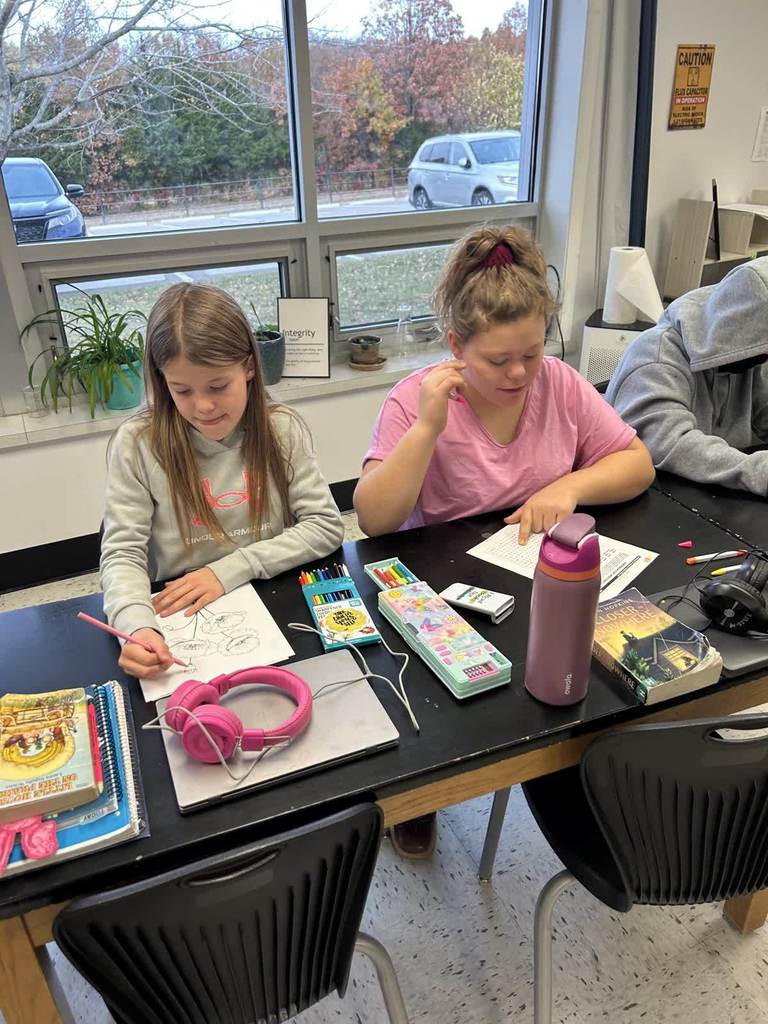 history of a vet project 