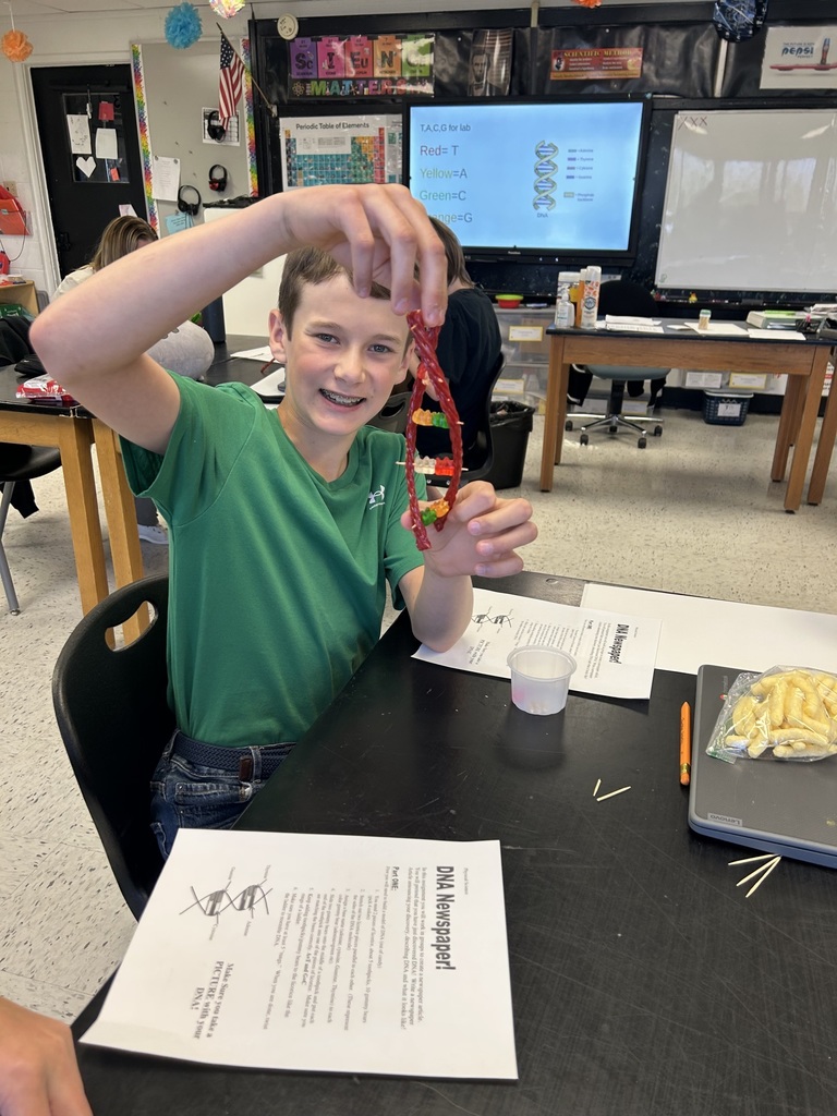 7th grade science project making DNA strains 