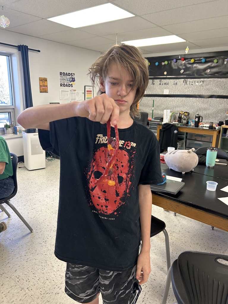 7th grade science project making DNA strains 