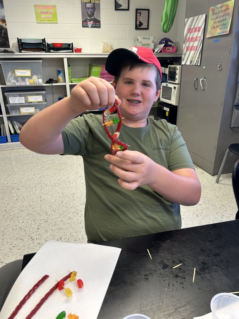 7th grade science project making DNA strains 