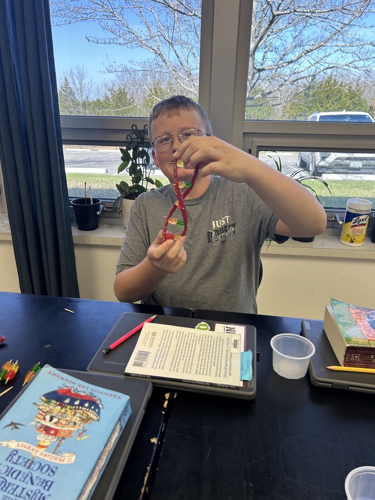 7th grade science project making DNA strains 