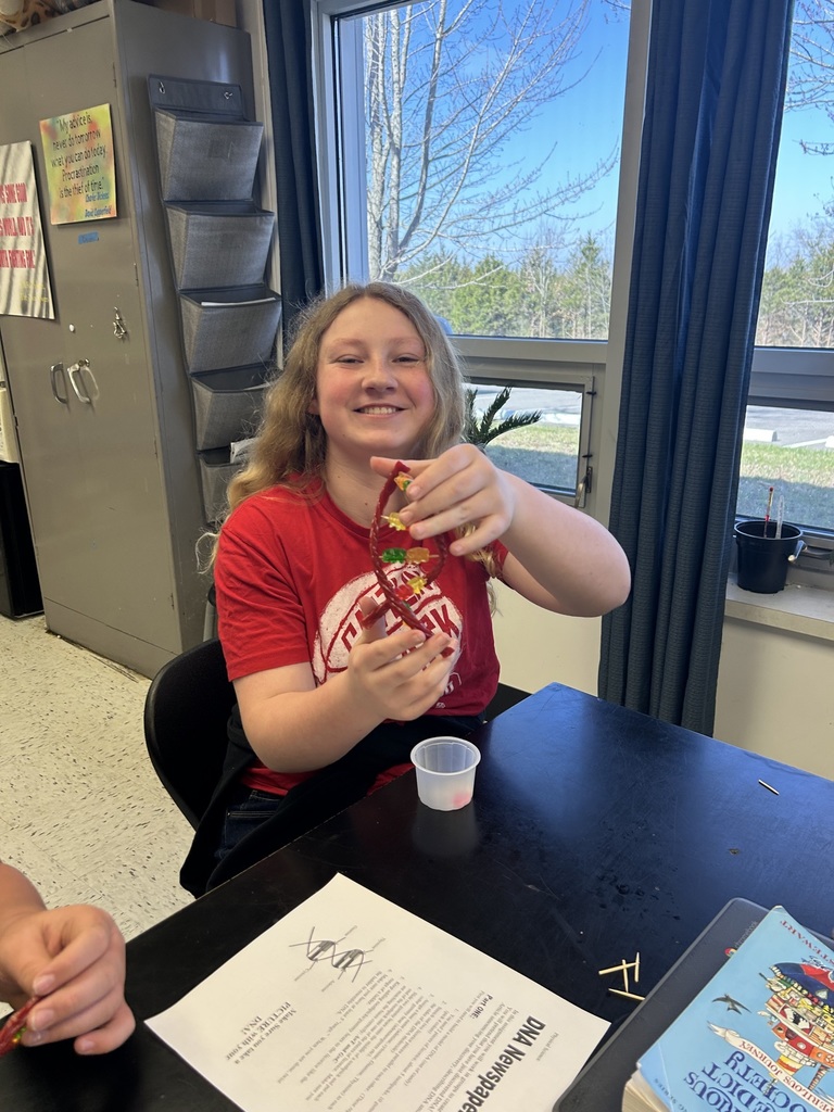 7th grade science project making DNA strains 