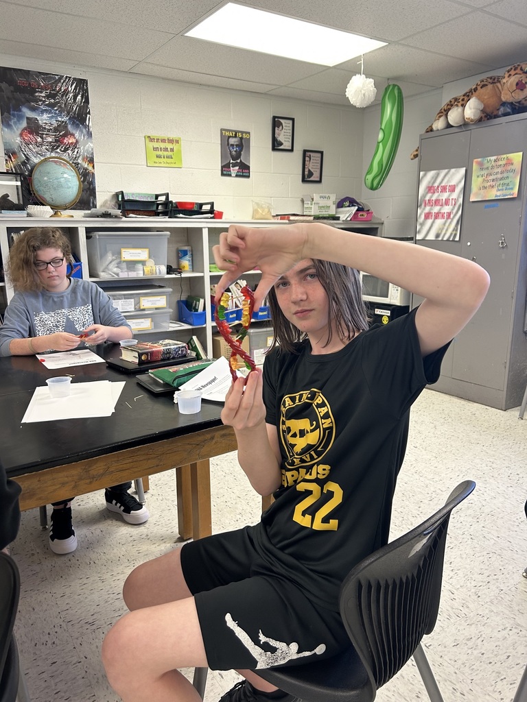 7th grade science project making DNA strains 