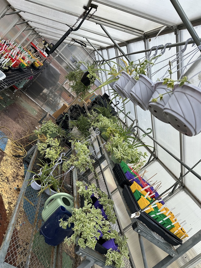 Green House Plant Sale