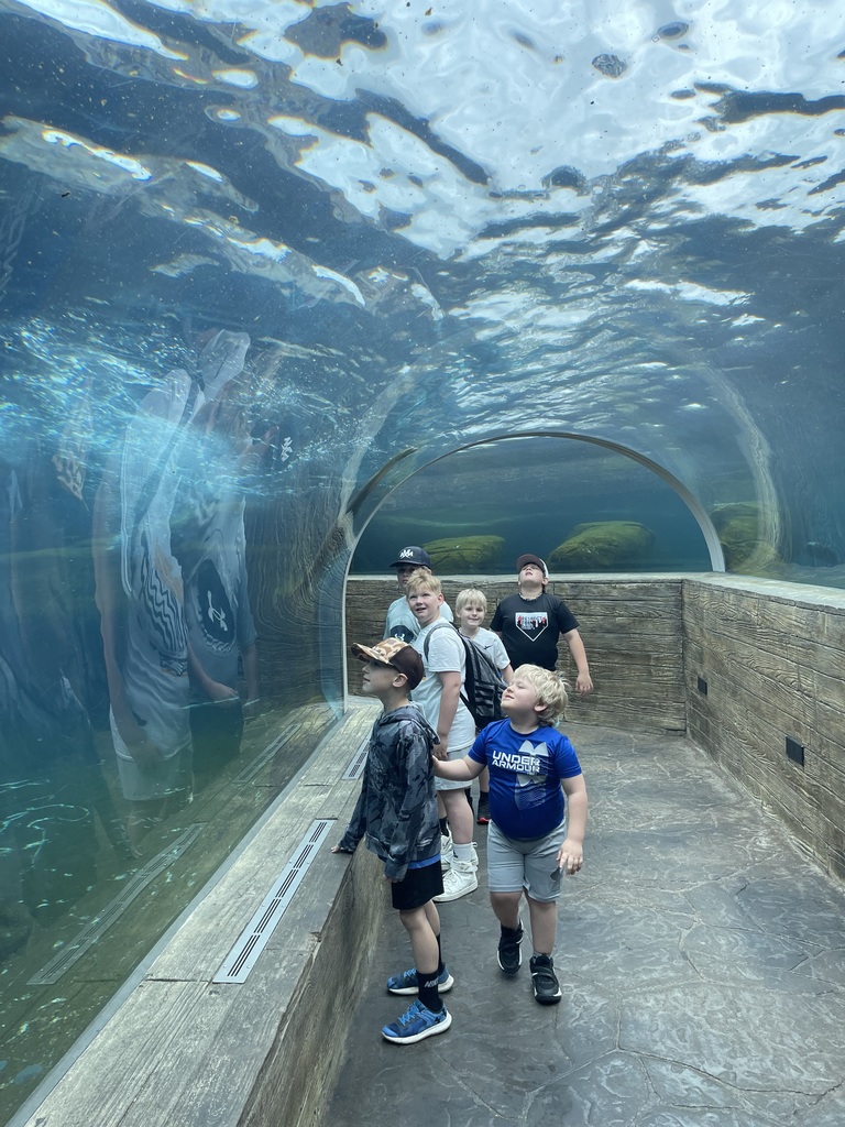 zoo field trip students looking into the water walkway