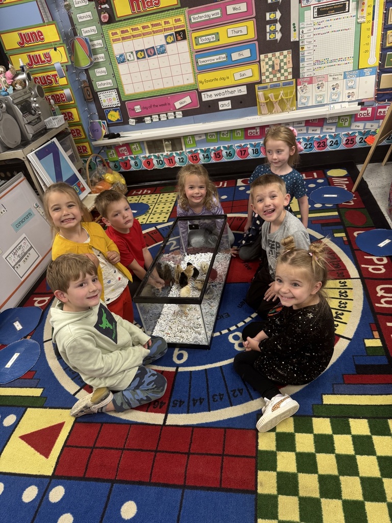 preK with chicks