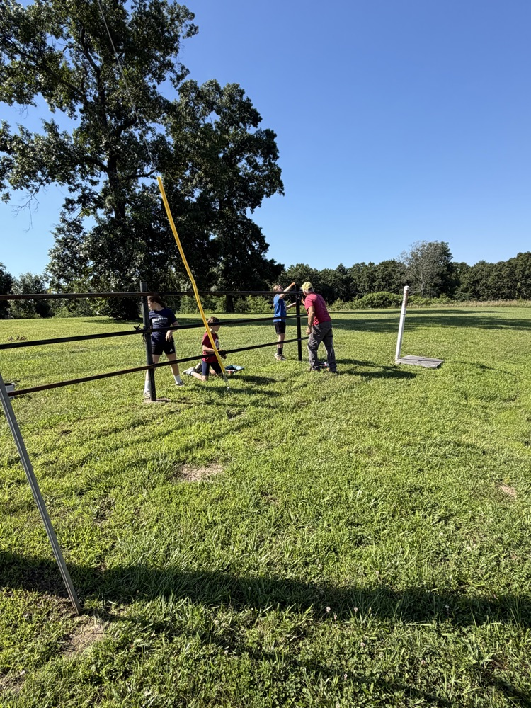 painting the fence 