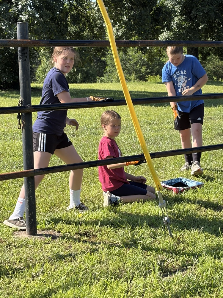 painting the fence 