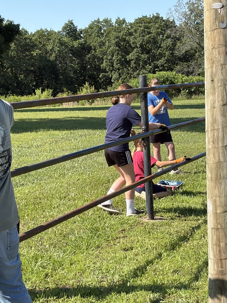 painting the fence 