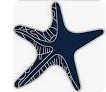 Sea Star