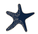 Sea Star