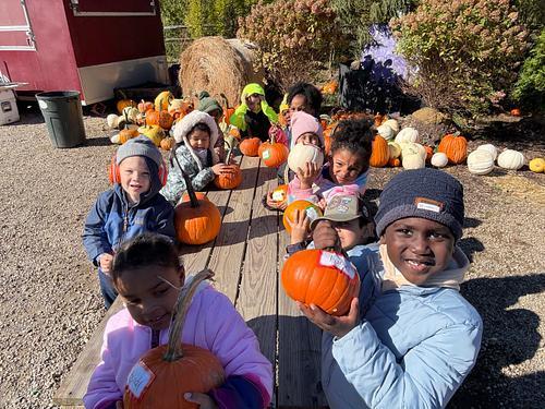 Our Kindergarteners had an amazing trip to the farm!