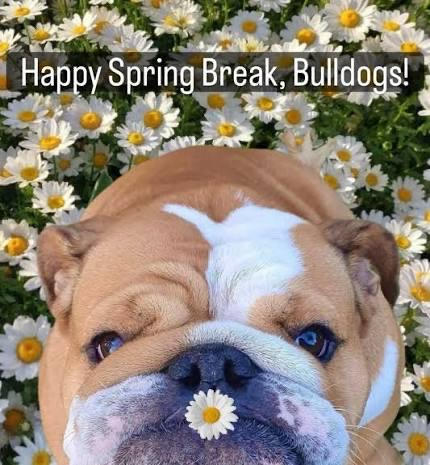 Happy Spring Break 2026!