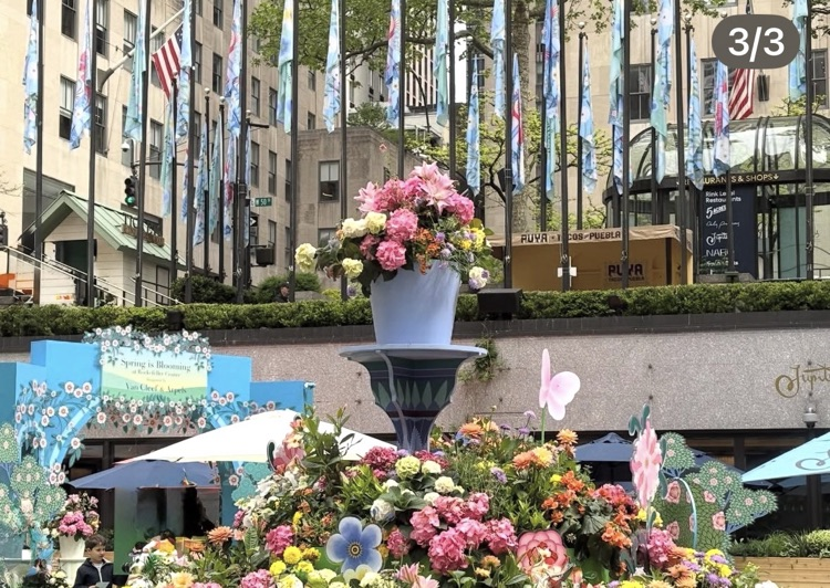 Bunnell NAHS students and staff visit MOMA! 