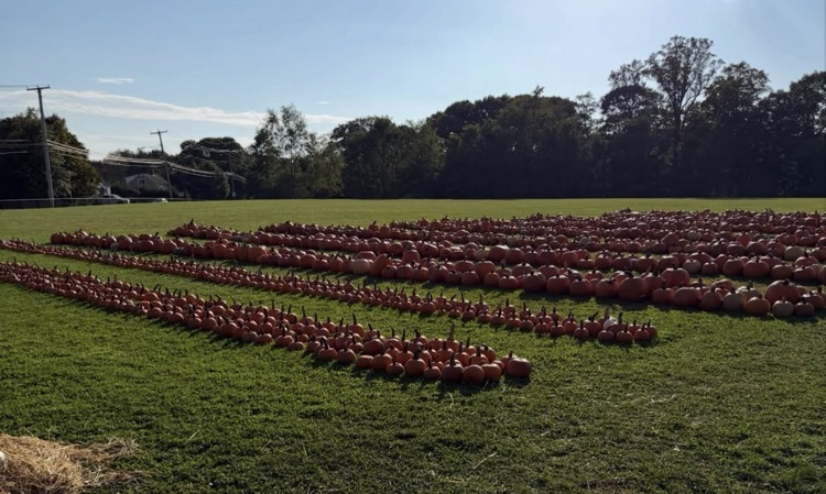 Bunnell DECA Pumpkin Patch Fundraiser!