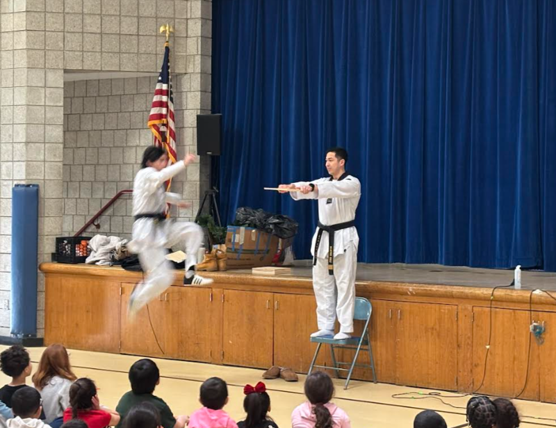 Taekwondo Demo
