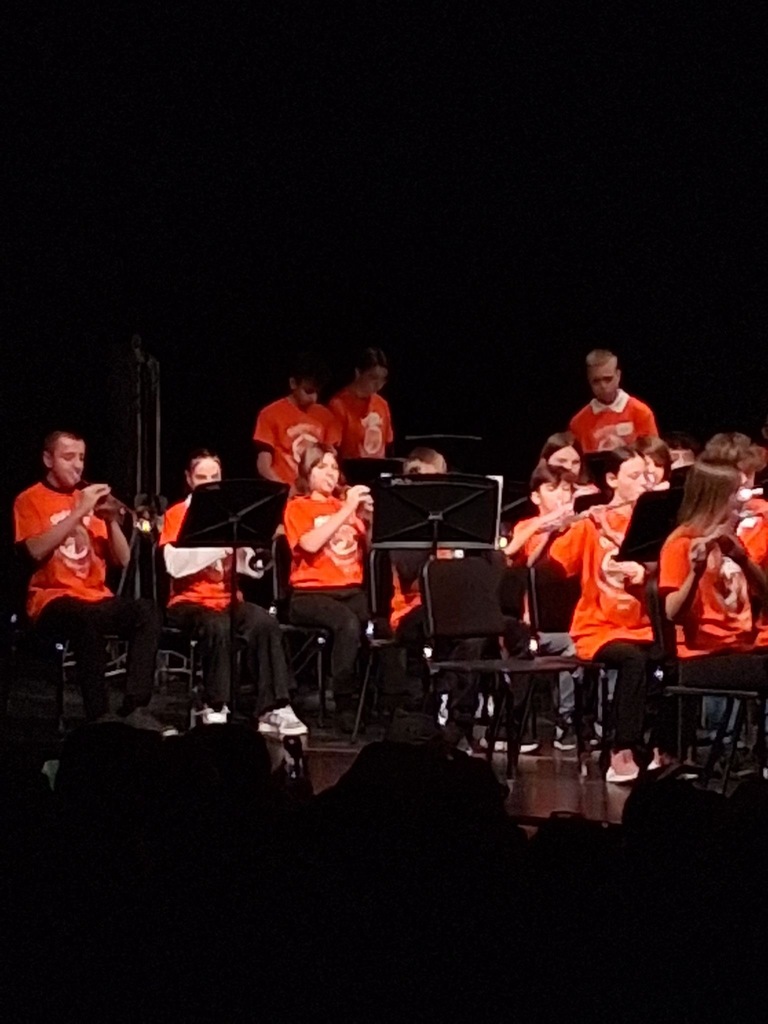 OMEA District Band Performing at Barberton High School's Auditorium.