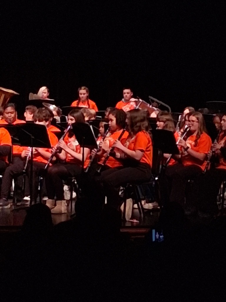 OMEA District Band Performing at Barberton High School's Auditorium.