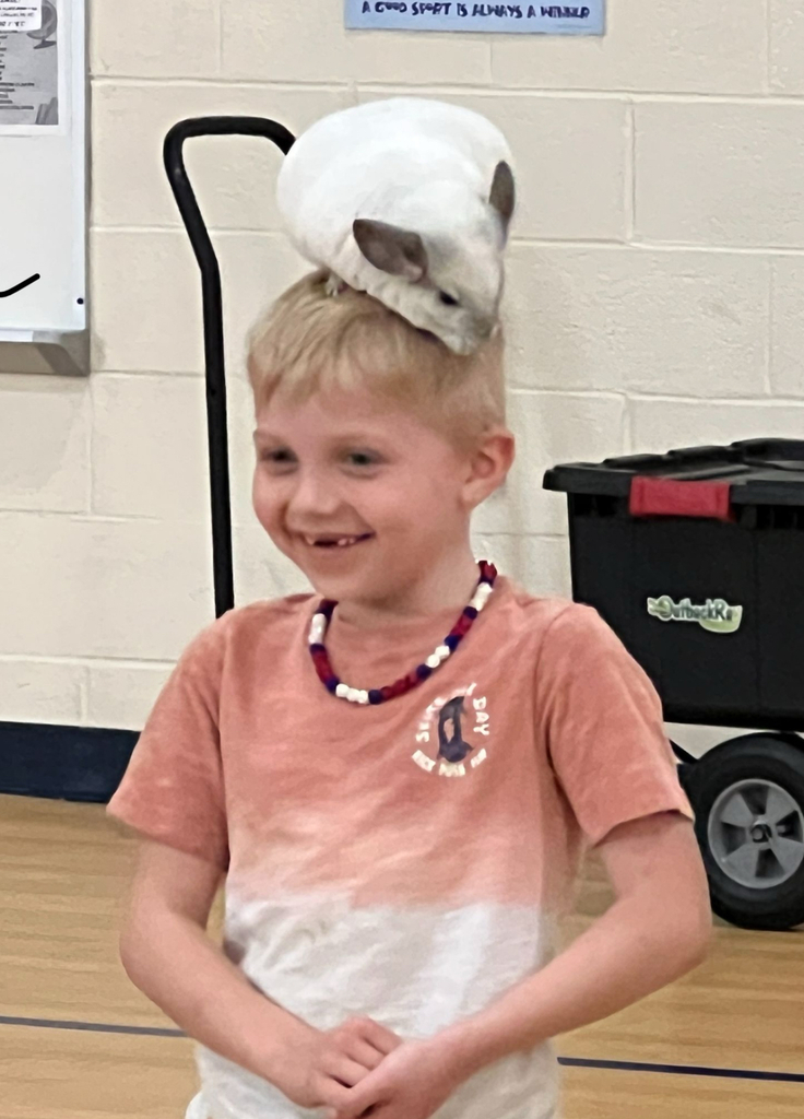 A smiling young boy with blonde hair stands in a school gymnasium wearing a pink t-shirt and a red, white, and blue beaded necklace. A white chinchilla is perched on top of his head, partially hidden under a white baseball cap.