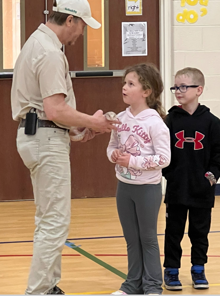 An "Outback Ray's" wildlife educator in khaki uniform holds out a small animal for a wide-eyed girl in a Hello Kitty sweatshirt to touch during a school gymnasium presentation. A boy in a black Under Armour hoodie and glasses watches curiously from behind her.
