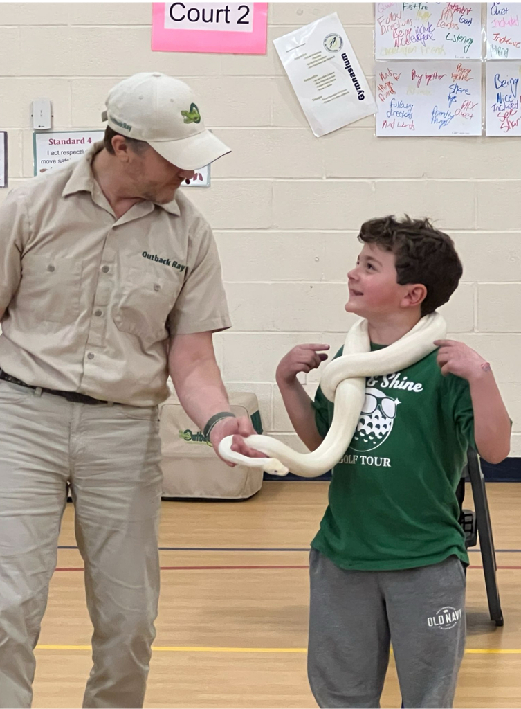  A wildlife educator from "Outback Ray's" wearing a khaki uniform and cap places a large white albino snake around the shoulders of a grinning elementary-age boy in a green t-shirt. The two make eye contact and smile at each other in a school gymnasium.