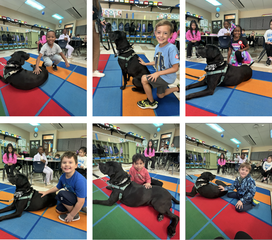 A therapy dog visits with elementary students, who take turns posing and petting the large black dog in a colorful classroom setting.