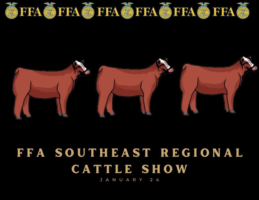  FFA Southeast regional Cattle show