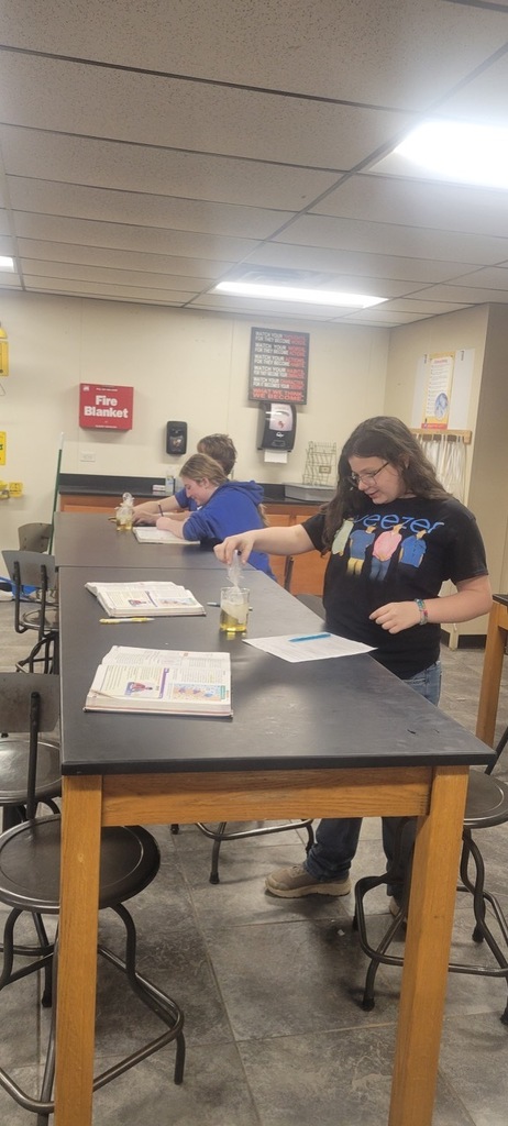 Mrs. Mrs. Fiegener's Class doing their diffusion lab and osmosis through a cell.