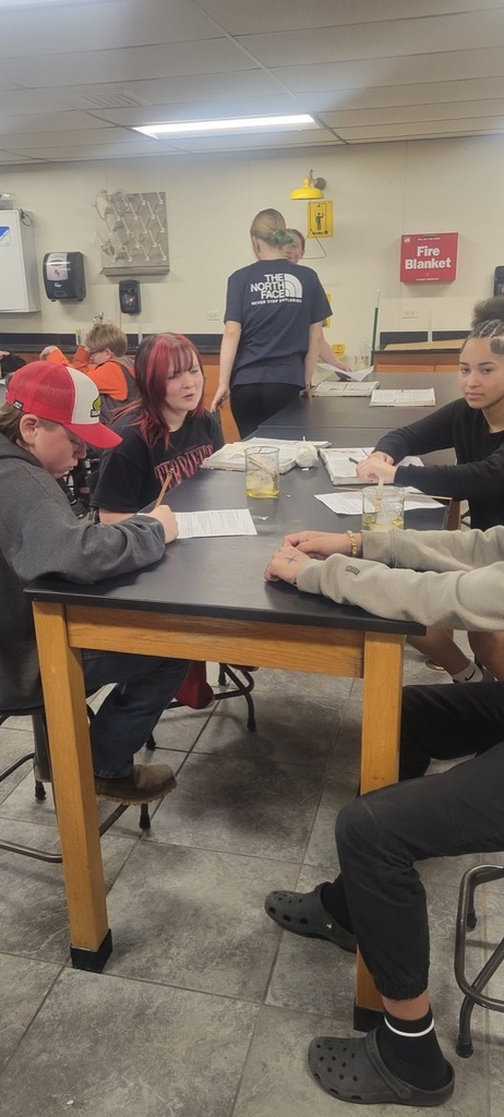 Mrs. Mrs. Fiegener's Class doing their diffusion lab and osmosis through a cell.