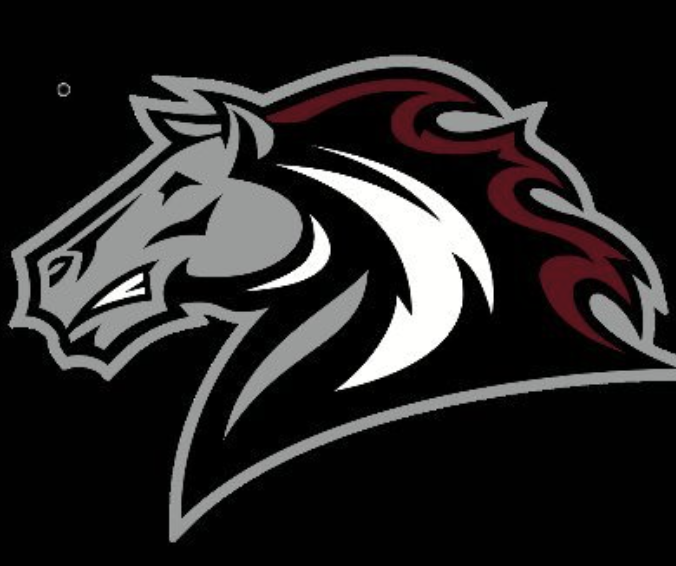 Bronco Logo