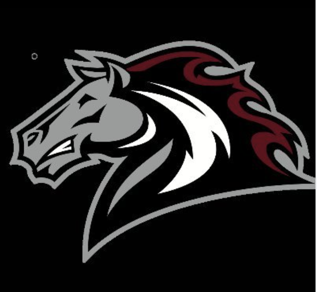 Bronco logo