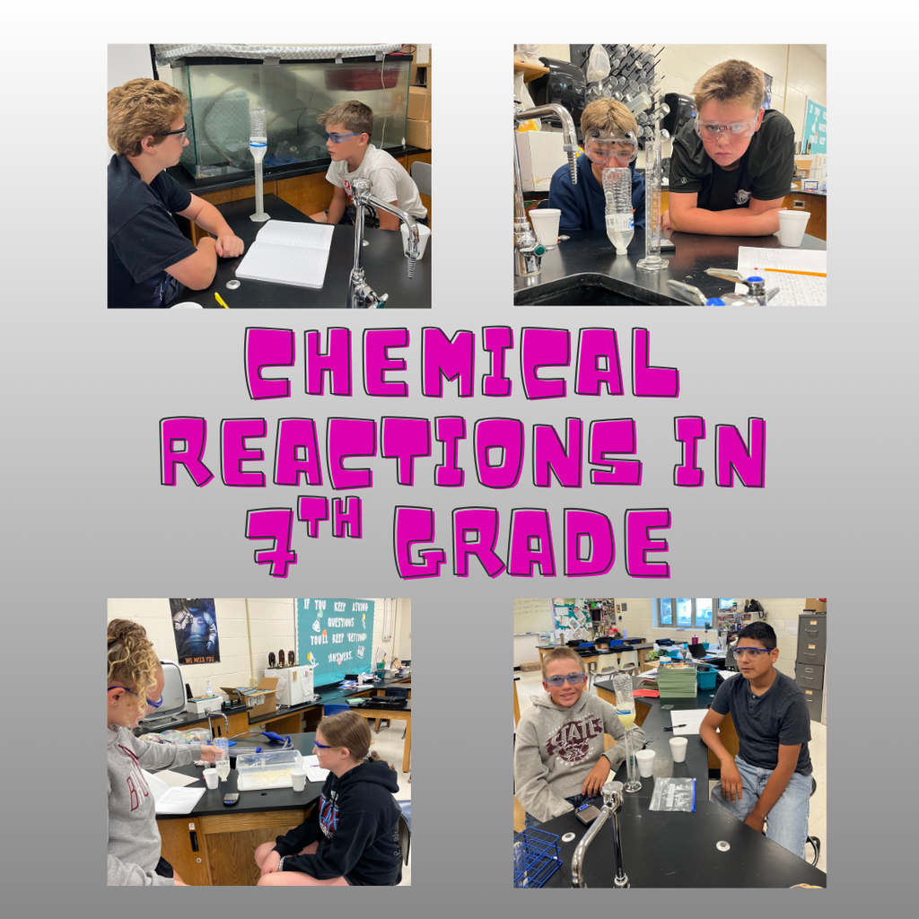 Chemical Reactions in 7th Grade (Instagram Post)