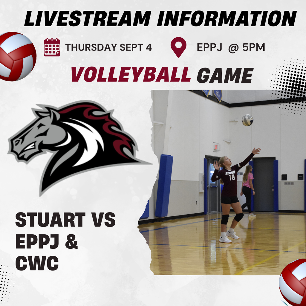 Volleyball livestream