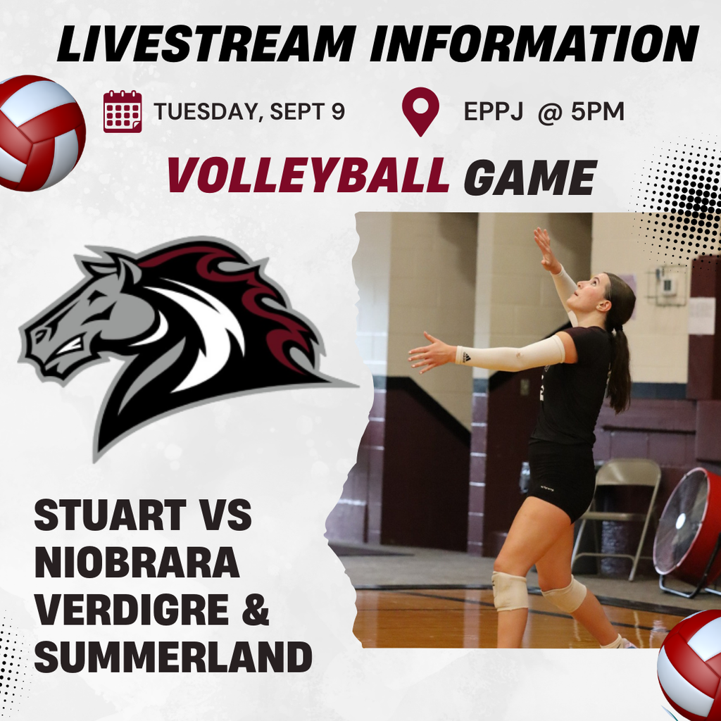 volleyball livestream