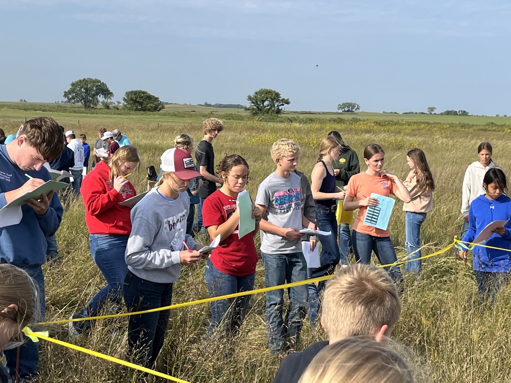 Range Judging