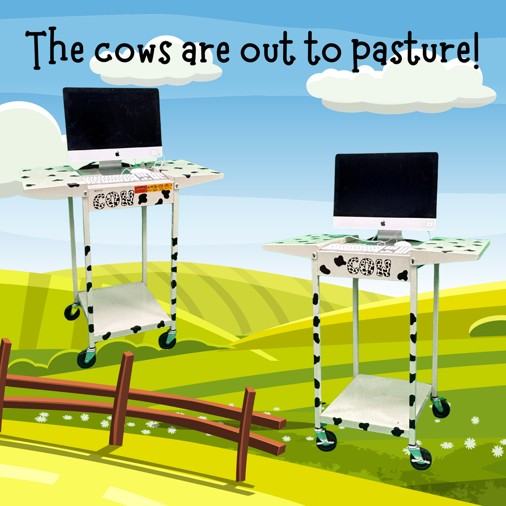 cows