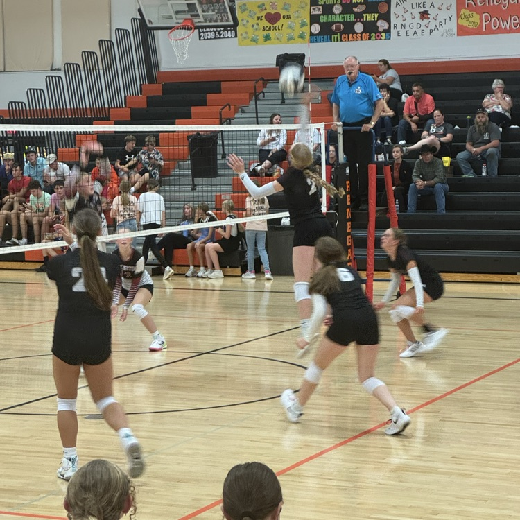 VB