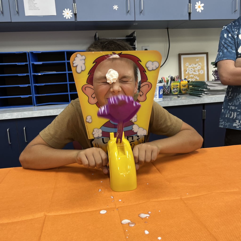 Pie in the Face game