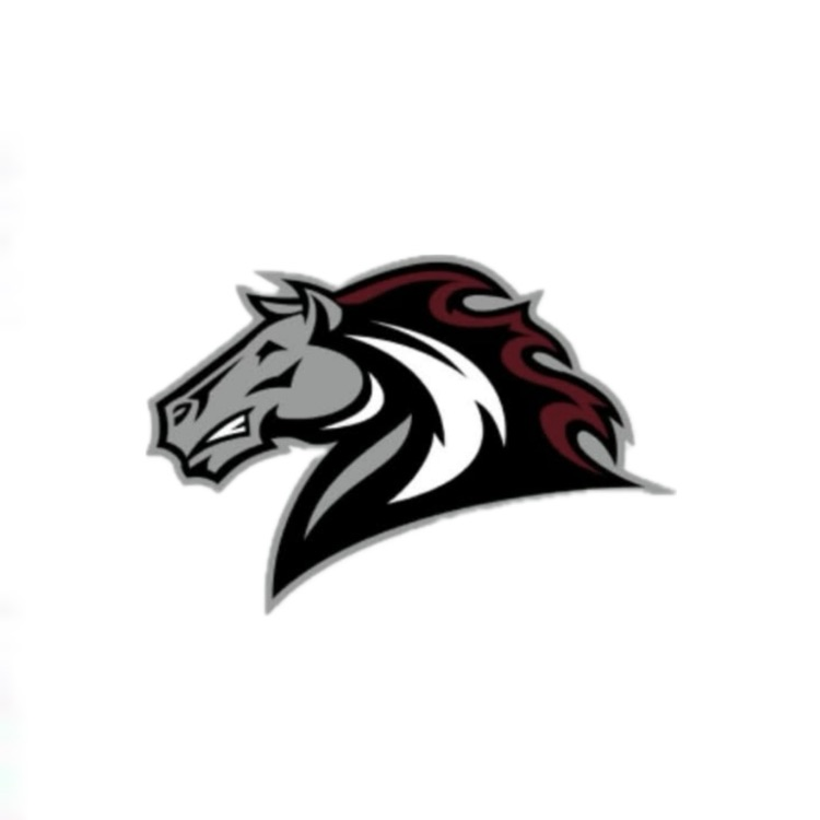 bronco