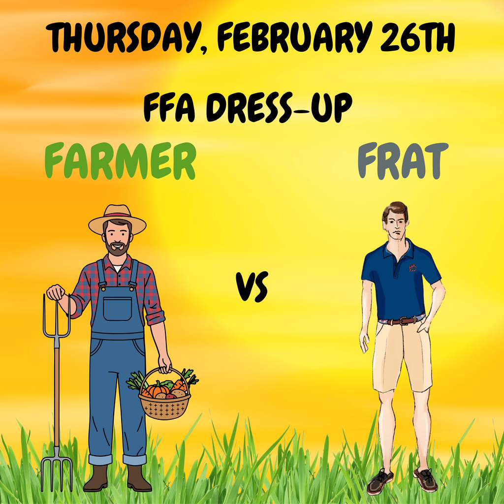 ffa dress up